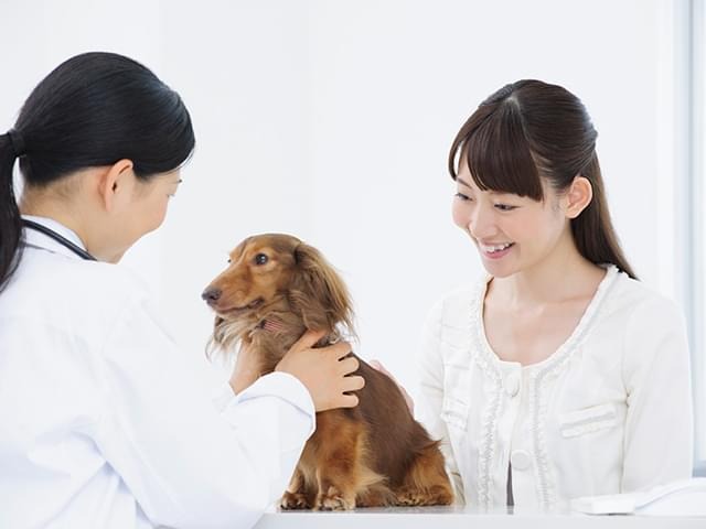 ご来院時のお願い